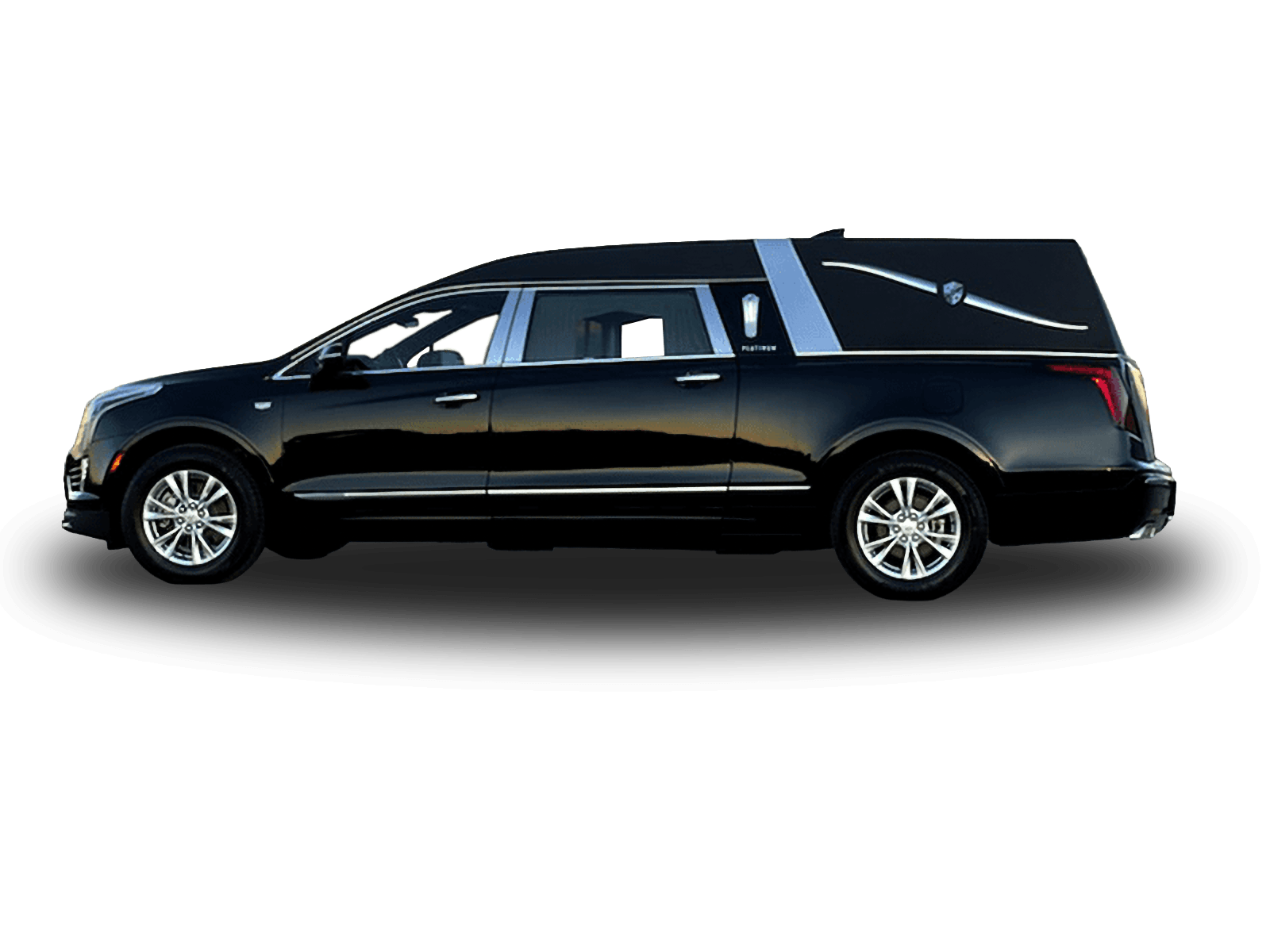 Model Image